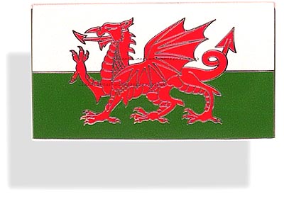 Welsh Dragon enamelled metal badge 51 x 29mm. Self adhesive back. - CXB02401